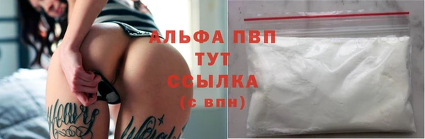 PSILOCYBIN Остров